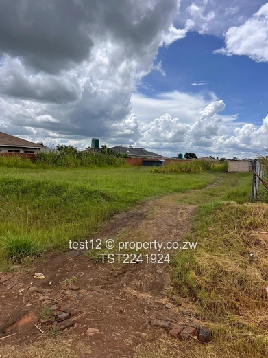 Haydon park stand for sale  (Sole Mandate)