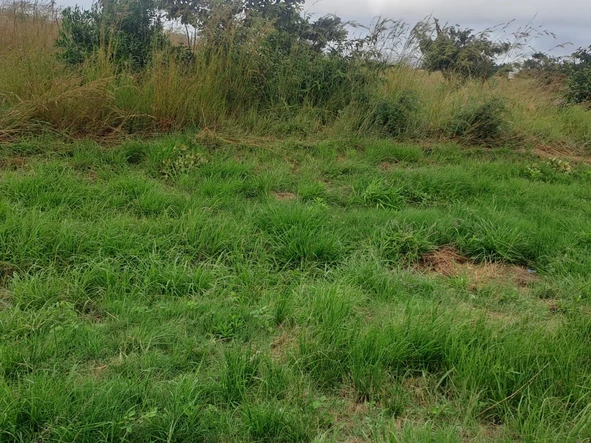 Commercial & Industrial Land