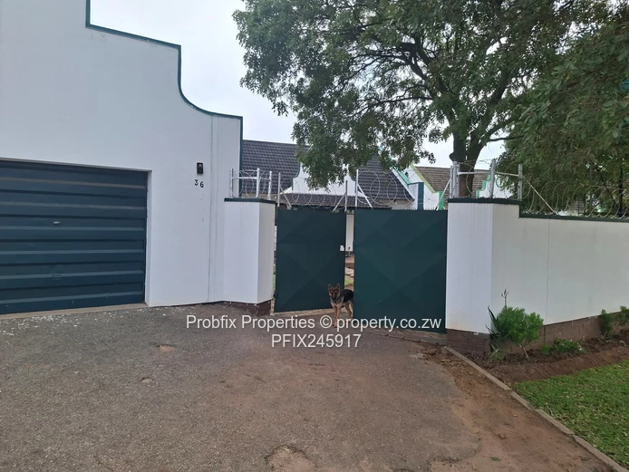 Msasa Investment opportunity