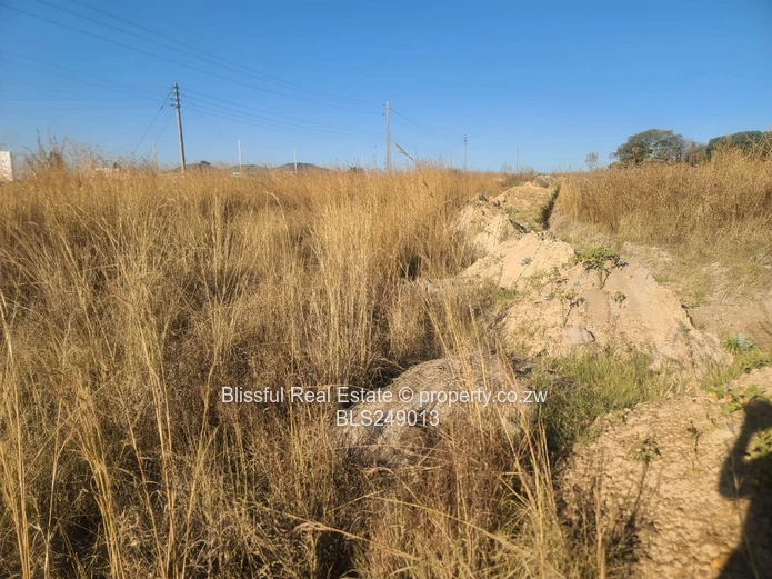 stand for sale in fidelity Barrington