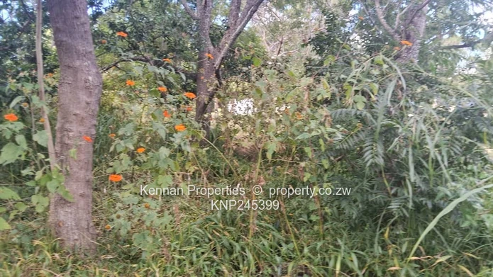 Large Land Lovely Location!