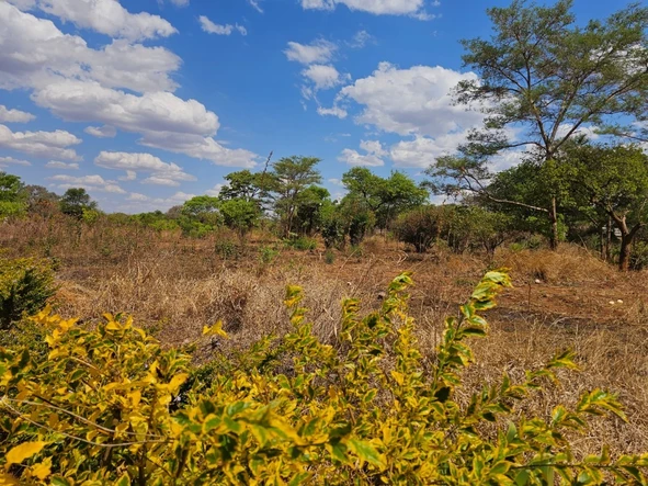 Commercial & Industrial Land