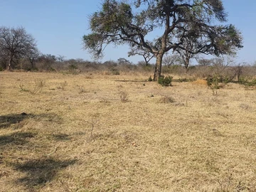 Farm & Agricultural Land
