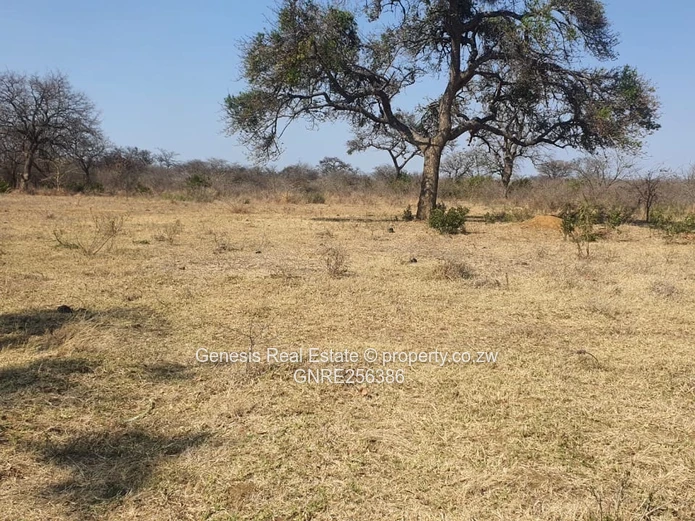 Prime Land For Sale Along Airport Road In Bulawayo!