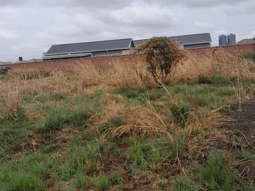 Stands & Residential Land