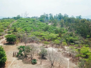 Land
