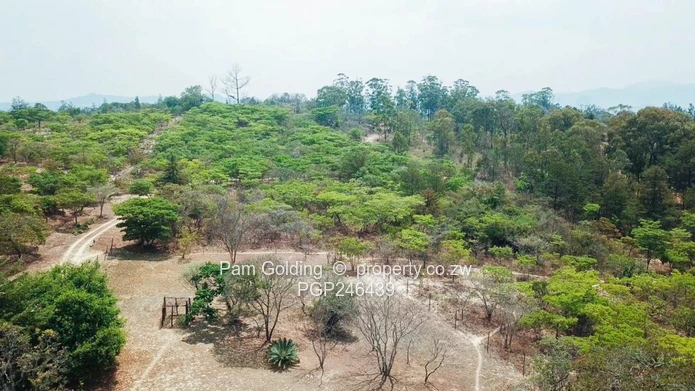 Stands In Nyanga At Nyamazi River For Sale