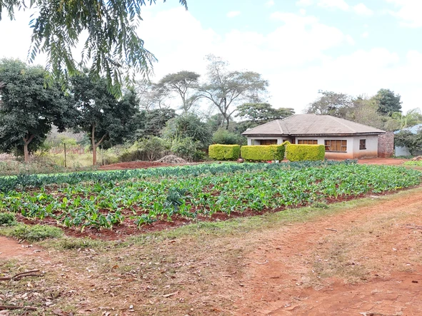 Stands & Residential Land