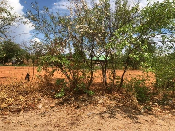 Commercial & Industrial Land