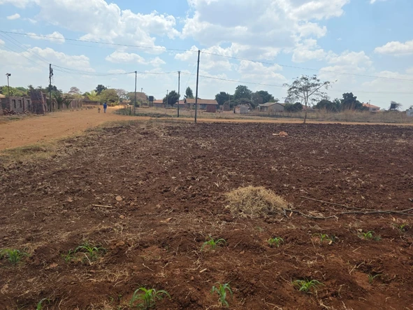 Stands & Residential Land