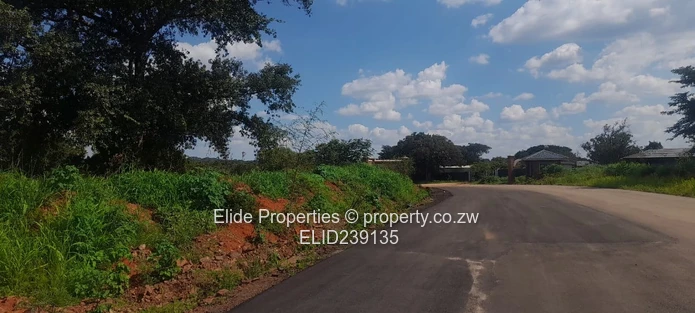 Pomona-Buckland Terrance Stand for Sale (Sole Mandate)