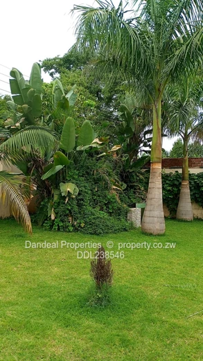 Gletwyn-Police Heights