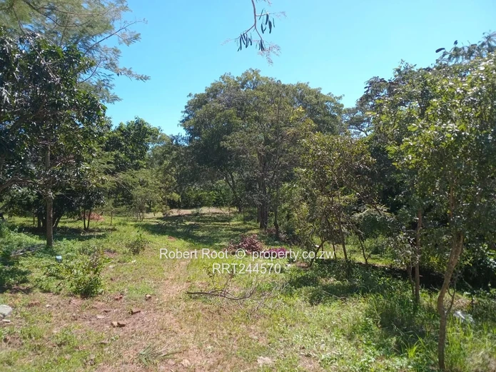 Prime 1-Hectare Stand in Umwinsdale