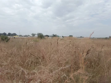 Commercial & Industrial Land