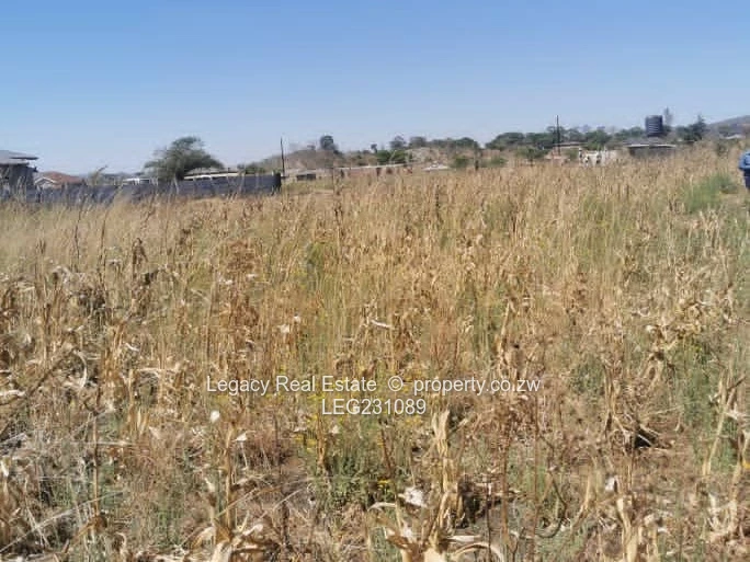 Crowhill Ruyamuro Stand 1000sqm :Ready for Deeds