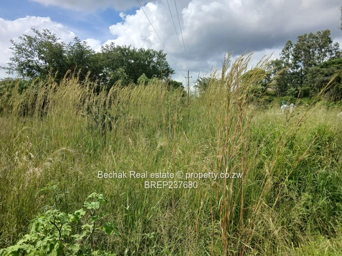 Stand for sale in Burnside 