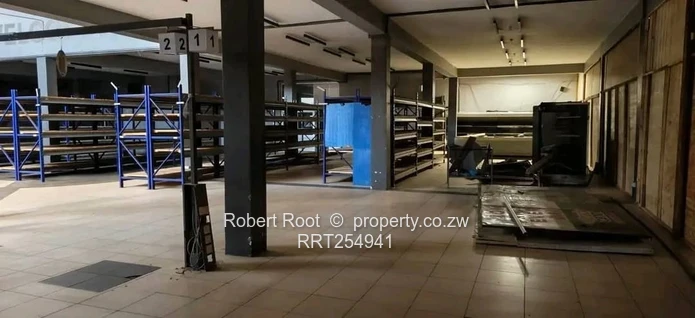 Commercial Retail Building(Formely Food World)