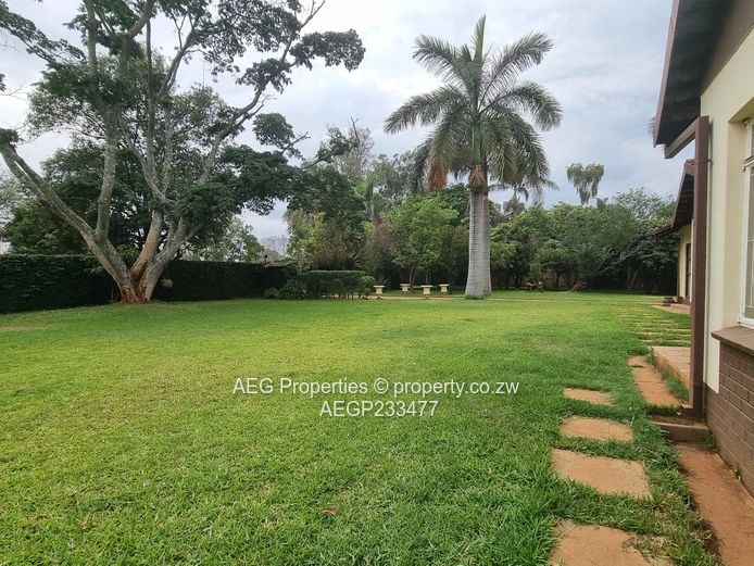 Prime Commercial Opportunity