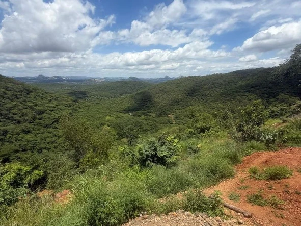 Commercial & Industrial Land