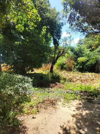 prime investment property