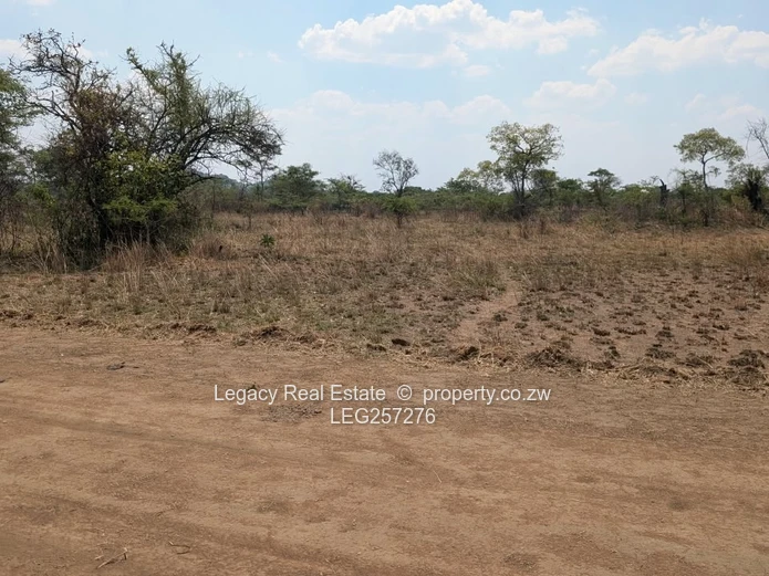 1ha Arable Farm a choice of 12 plots opposite Bulawayo rd  — Cleared Land & Road Access