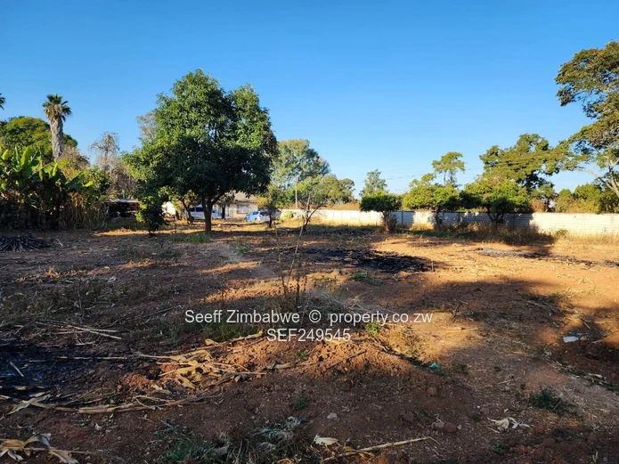 Prestigious Windmill Lane: Premier 2,800sqm Subdivision Stand with Income Cottage