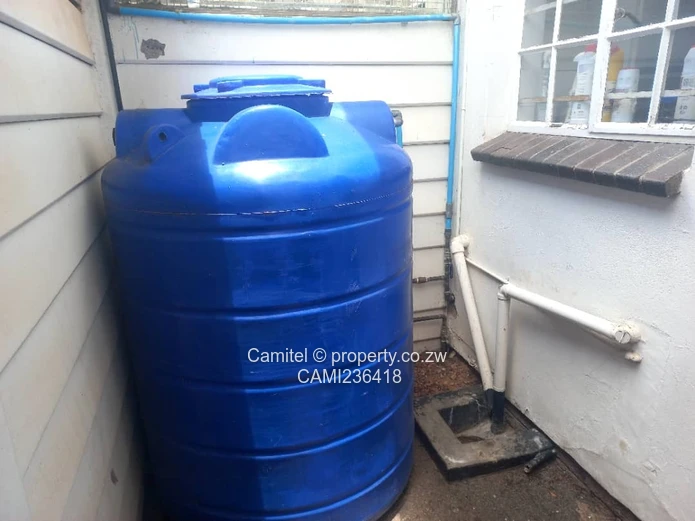 Avenues 3-Bed Garden Flat - Paved Drive, Lush Gardent at endernbroug 