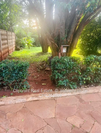 Beautiful starter home for sale!