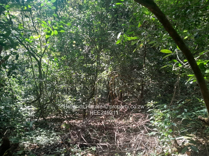 Vumba