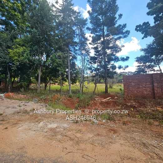 Prime Investment Opportunity in Mandara (Sole Mandate)