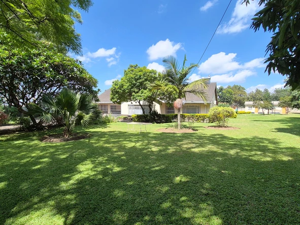 Shop & Retail Property