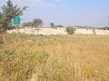 Farm & Agricultural Land