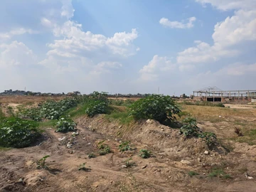 Commercial & Industrial Land