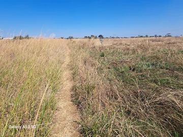 Stands & Residential Land