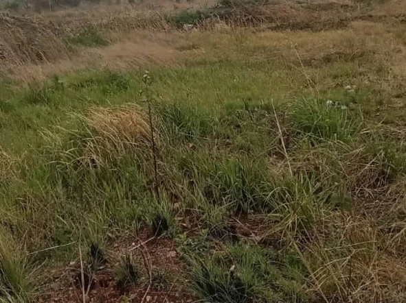 Commercial & Industrial Land