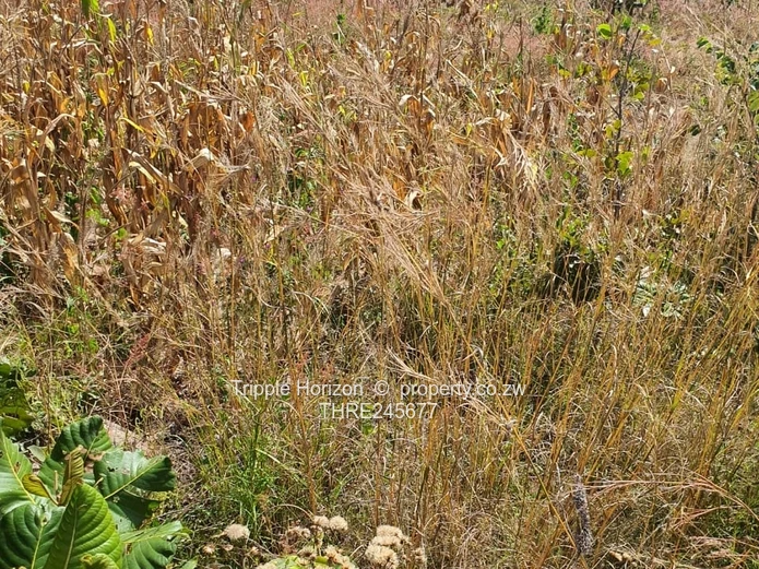 1000m² Stand in Crowhill Views — Gravel Road Access