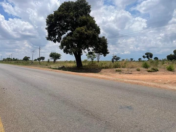 Commercial & Industrial Land