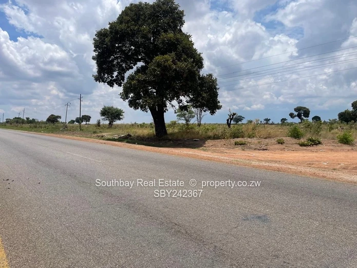 Investment Opportunity