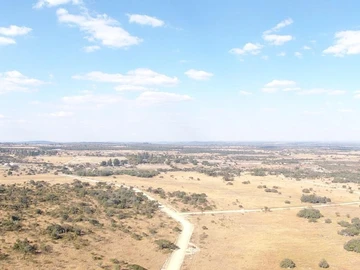 Farm & Agricultural Land