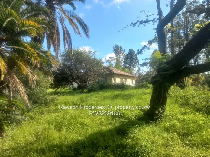 Hatfield ( ParkMeadowlands) House For Sale (Sole Mandate)