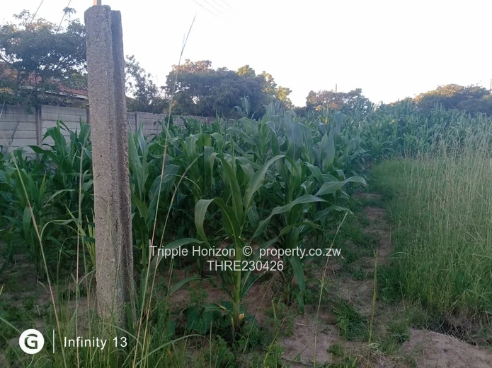 2,000m² Stand in Marondera – Main Road Frontage & Services (Sole Mandate)