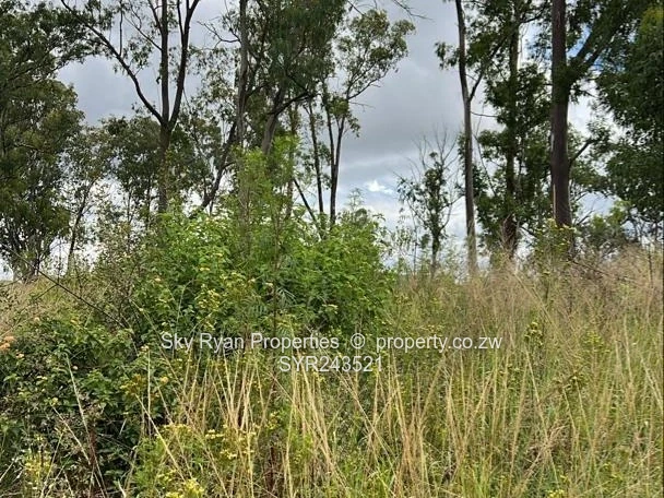 Cowfold Gweru Shopping Centre Stand For Sale