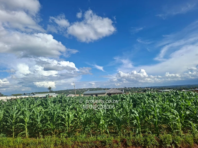 Crowhill Sawara Hills stand with slab for sale (Sole Mandate)