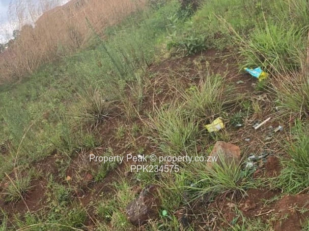 Gletwyn Corner Stand For Sale