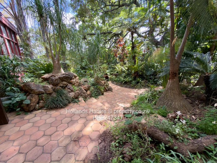 Incredible property in Glen Lorne
