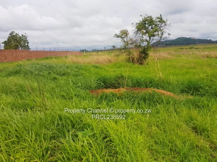 Goodhope Stand For Sale