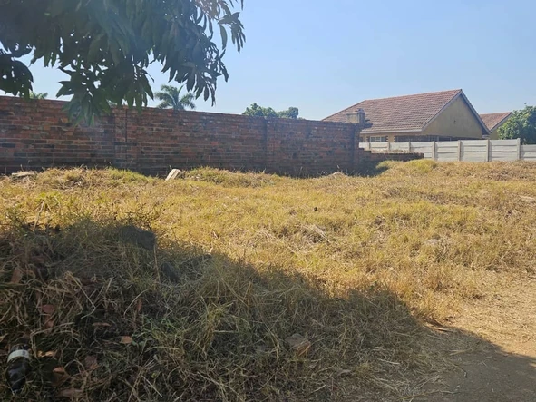 Stands & Residential Land