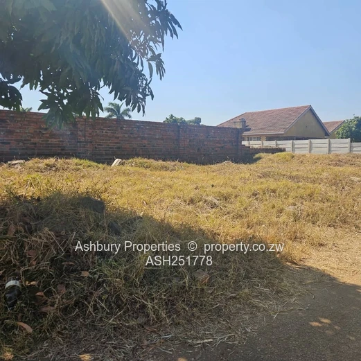 Great Investment Opportunity in Belverdere