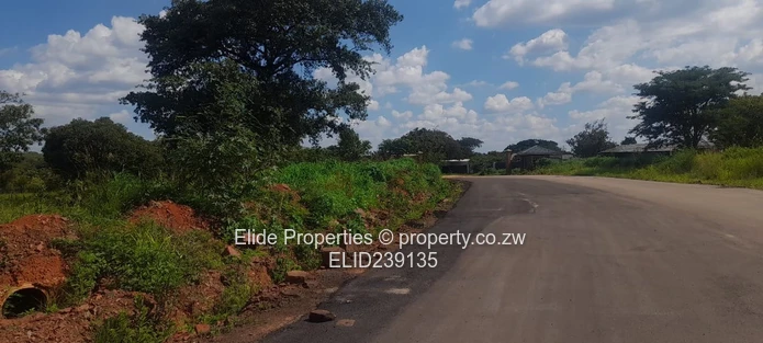 Pomona-Buckland Terrance Stand for Sale (Sole Mandate)