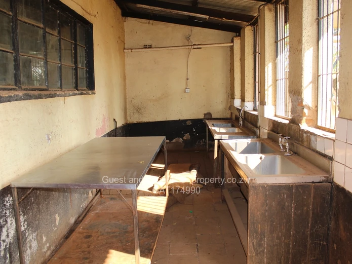 Great Investment Opportunity in an Urban Area